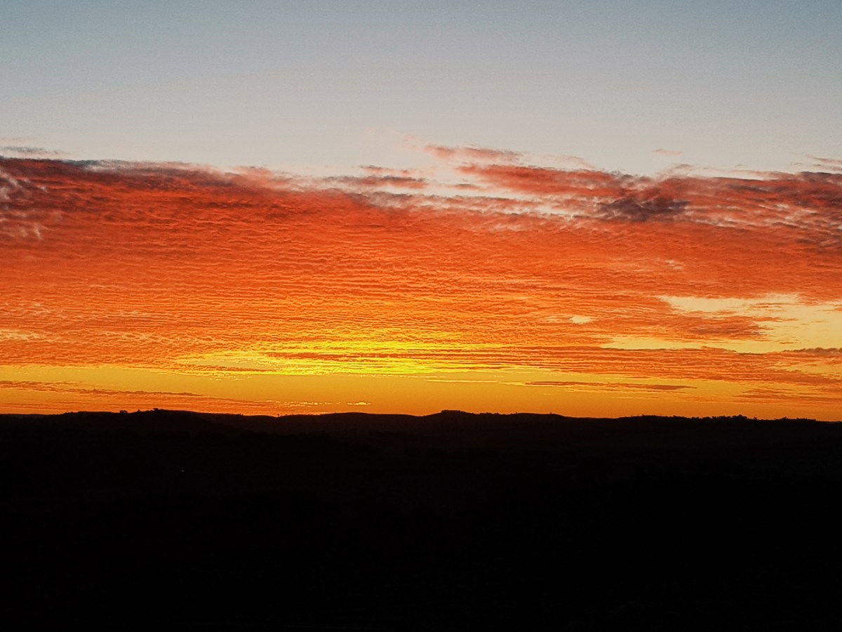 2018-08-13 04.47.12 1.jpg