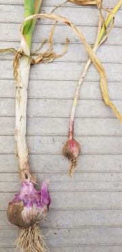 2019-02-07 10.42.29 1.jpg