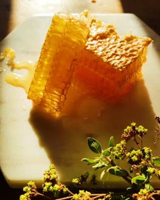 2019-03-18 08.26.03 1.jpg