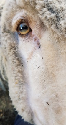 2019-03-26 05.20.22 1.jpg