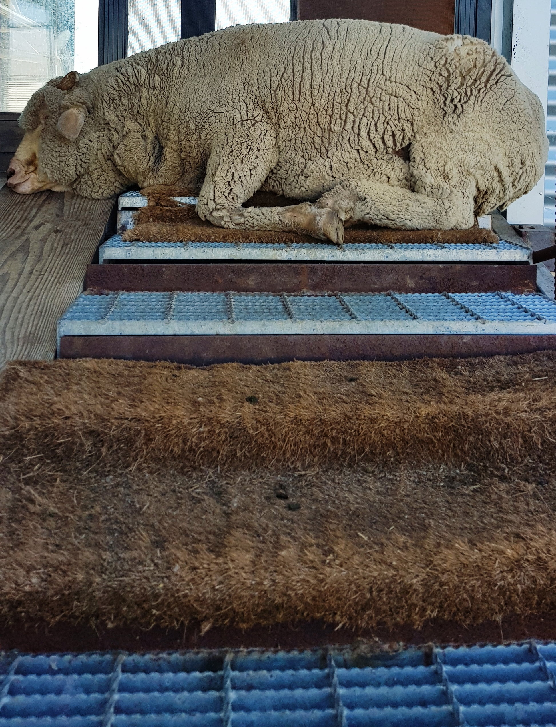 2019-04-30 08.07.59 1.jpg