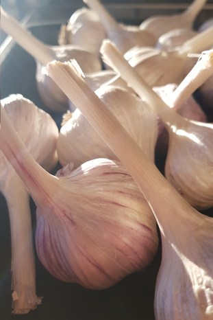 2019-04-18 10.27.09 1.jpg