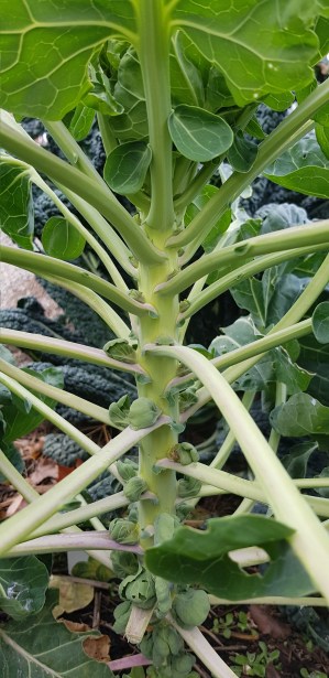 2019-05-30 02.50.48 1.jpg