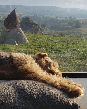 2019-05-30 04.53.55 1.jpg