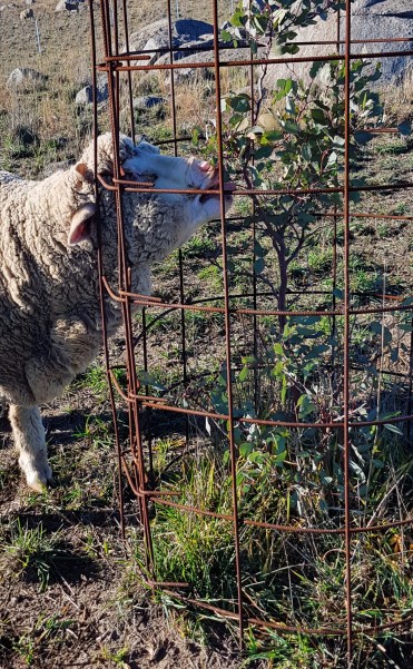 2019-06-30 06.38.04 1.jpg