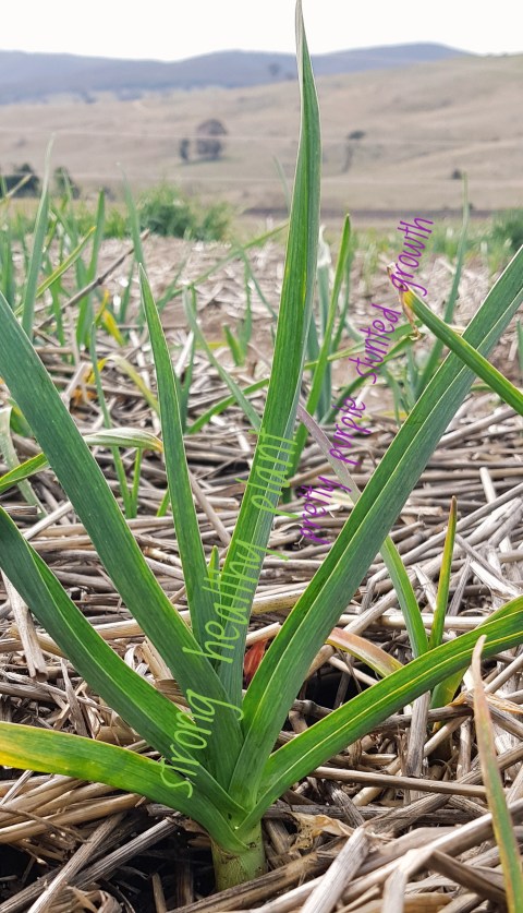 2019-07-26 11.16.20 1-02.jpeg