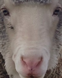 2019-08-21 11.15.09 1.jpg