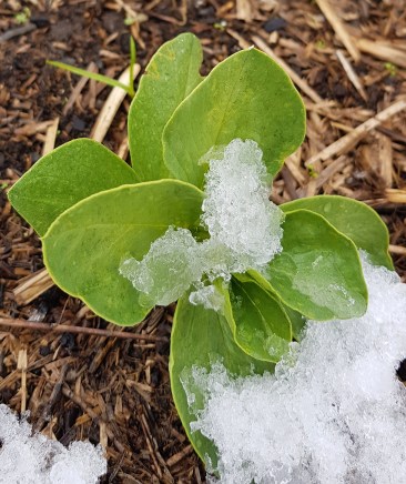 2019-08-31 11.14.20 1.jpg