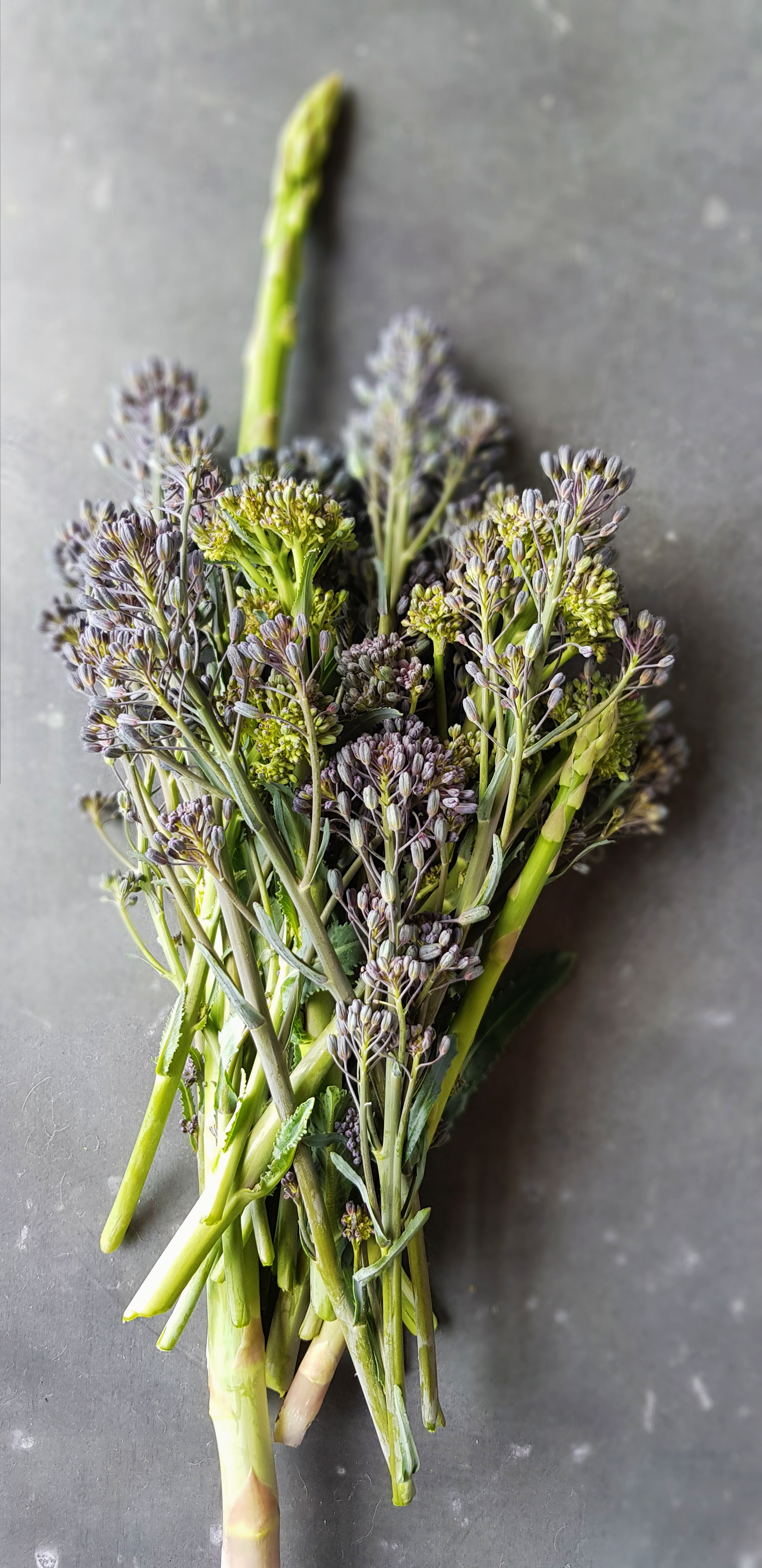 2019-10-29 03.20.04 1.jpg