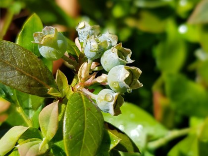 2019-10-29 03.20.41 1.jpg