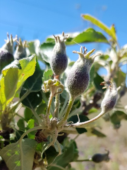 2019-10-29 03.22.21 1.jpg