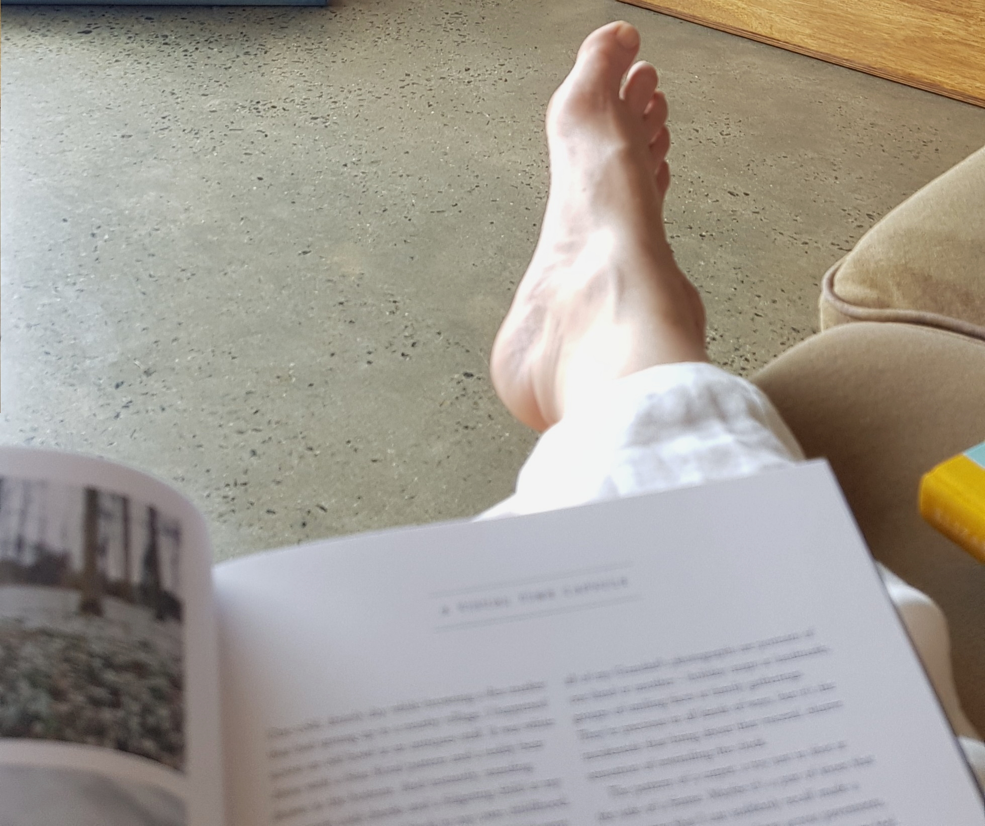 2020-01-31 02.45.34 1.jpg