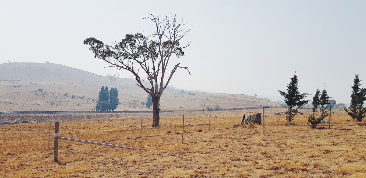 2020-01-31 03.23.19 1.jpg