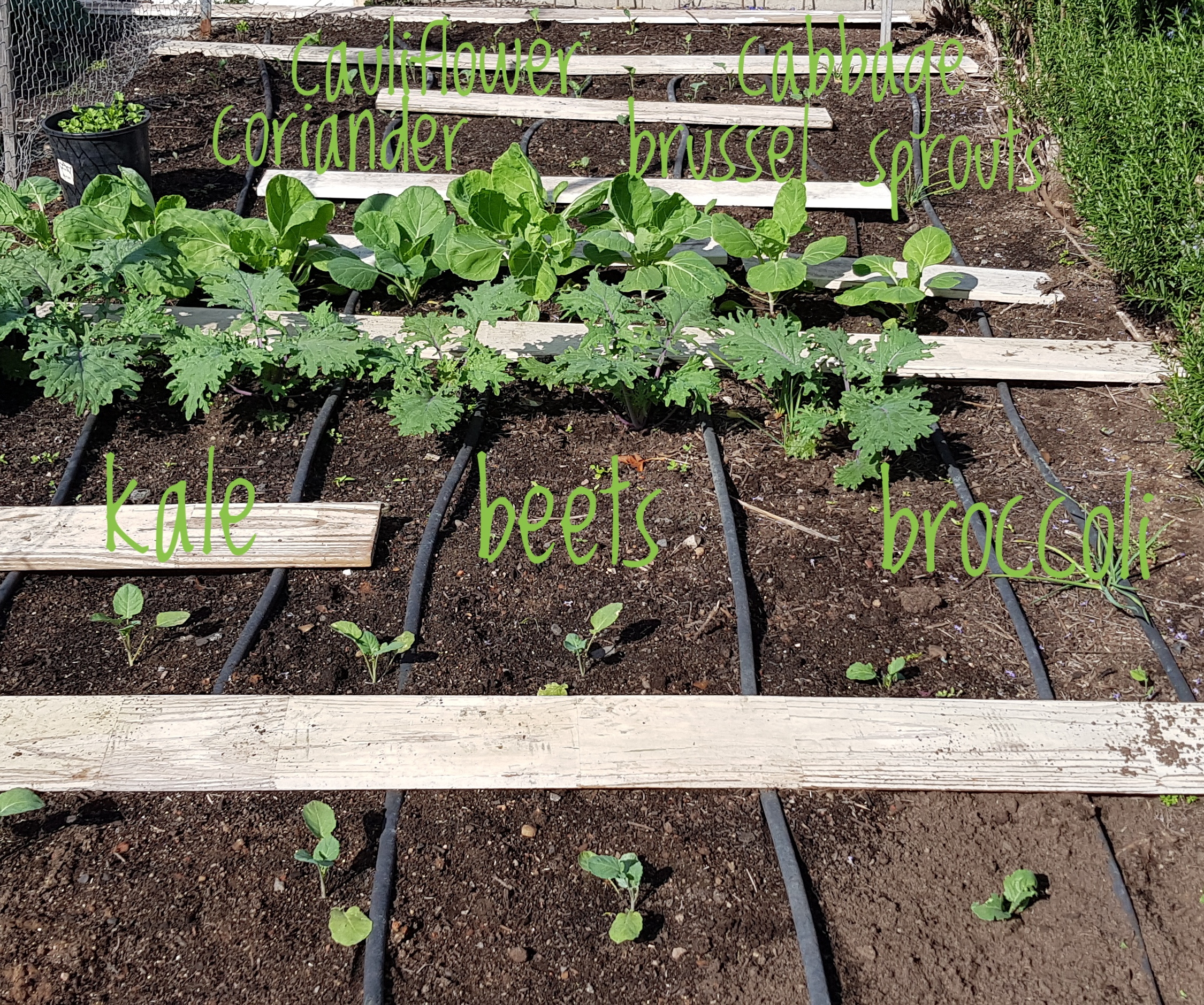 2020-03-31 11.05.44 1.jpg