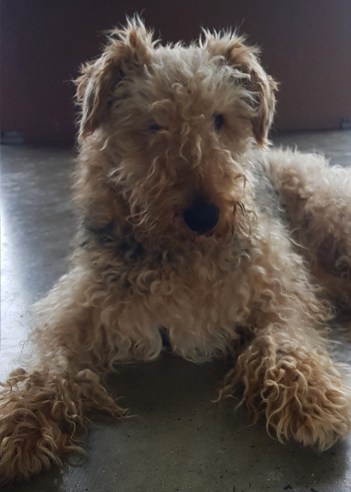 2020-04-29 06.09.39 1.jpg