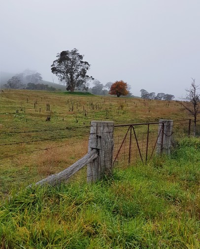 2020-06-28 12.07.04 1.jpg