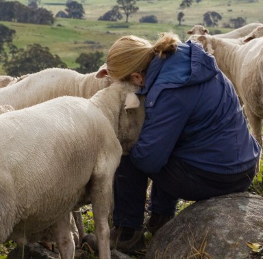 _MG_2260 Parker always up for a moment cropped.jpg